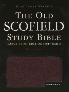 0195273044 | KJV Scofield Study Bible Large Print Burgundy Genuine Leather Indexed