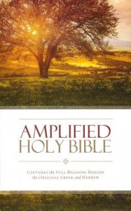 0310443873 | Amplified Holy Bible