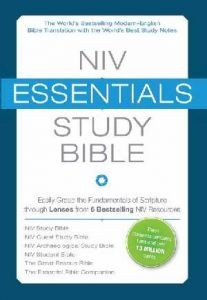0310442419 | NIV Essential Study Bible