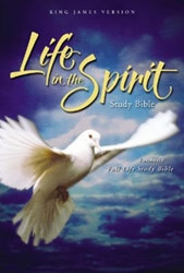 0310928249 | KJV Life in the Spirit Study Bible