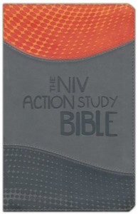 0830772553 | NIV The Action Study Bible Premium Edition Imitation Leather