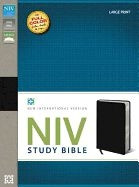 031043758X | NIV Study Bible Large Print