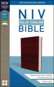 031044845X | NIV Value Thinline Bible Comfort Print Burgundy Leathersoft