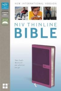0310438543 | NIV Thinline Bible