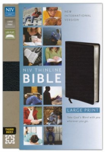 0310435943 | NIV Thinline Bible Large Print