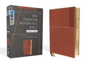 0310462665 | NIV Thinline Reference Bible Large Print