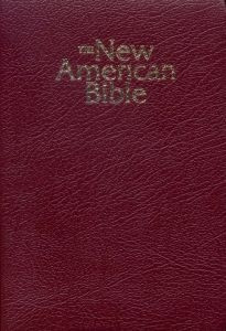 0529061414 | NABRE Gift and Award Bible Deluxe