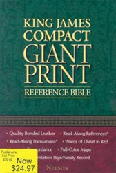 0718003179 | KJV Personal Size Giant Print Bible