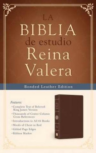 163058875X | Spanish RVR 1909 Study Bible La Biblia De Estudio Reina Valera