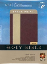 1414307098 | NLT2  Premium Slimline Large Print Bible