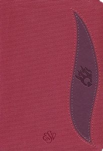 1619706911 | ESV Fire Bible Student Edition