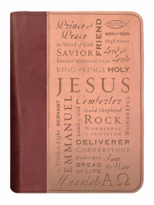 0310803853 | Names Of Jesus Bible Cover