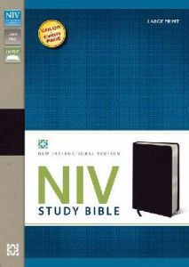 0310437571 | NIV Study Bible Large Print