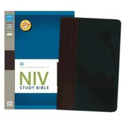 0310437466 | NIV Study Bible