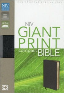 0310435293 | NIV Giant Print Compact Bible