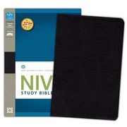 0310437431 | NIV Study Bible