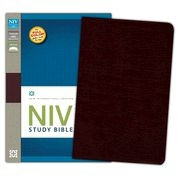 031043744X | NIV Study Bible