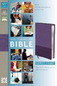 0310435994 | NIV Thinline Large Print Bible