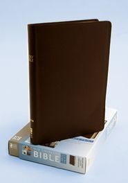 0310435900 | NIV Thinline Large Print Bible