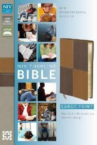 0310435978 | NIV Thinline Large Print Bible