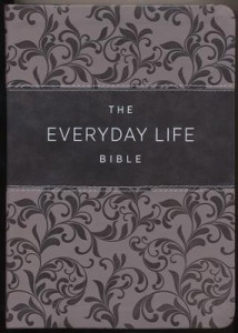 Amplified New Everyday Life Bible Gray Euroluxe