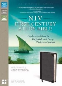 0310440181 | NIV First Century Study Bible