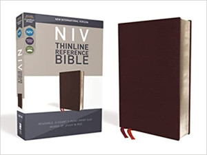 0310449634 | NIV Thinline Reference Bible Comfort Print Burgundy Bonded Leather
