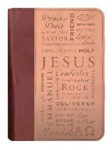 0310801338 | Bible Cover Names Of Jesus