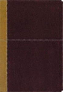 0310446708 | KJV and Amplified Parallel Bible Large Print Leathersoft Camel rich red