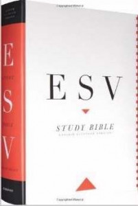 143354413X | ESV Study Large Print Bible
