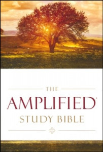 0310440300 | Amplified Study Bible Hardcover