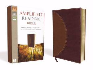 0310450225 | Amplified Reading Bible Brown LeatherSoft
