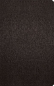 ESV Large Print Personal Size Bible-Deep Brown Buffalo Leather