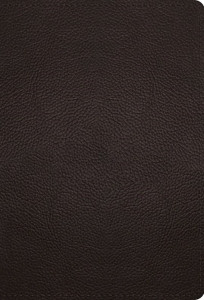 143357201X | ESV Large Print Compact Bible Deep Brown Buffalo Leather