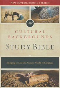0310431581 | NIV Cultural Backgrounds Study Bible