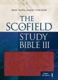 0195280199 | Scofield III Study Bible Zipper