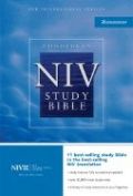 0310929563 | Study Bible Revised Burgundy Bonded Leather