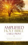 0310444039 | Amplified Holy Bible Large Print Revised