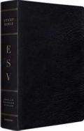 1433544318 | ESV Large Print Study Bible