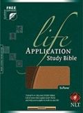 1414331975 | NLT Life Application Study Bible Index