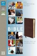 0310435633 | NIV Thinline Bible