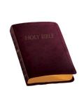 1556652925 | NABRE Catholic Companion Bible