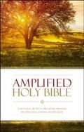 0310443903 | Amplified Holy Bible (Revised) Softcover