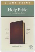 149644499X | NLT Giant-Print Personal-Size Bible, Filament Enabled Edition